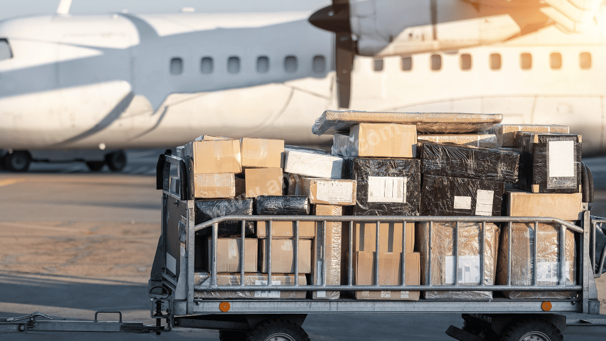 Erfelek Parça Yük Taşıma